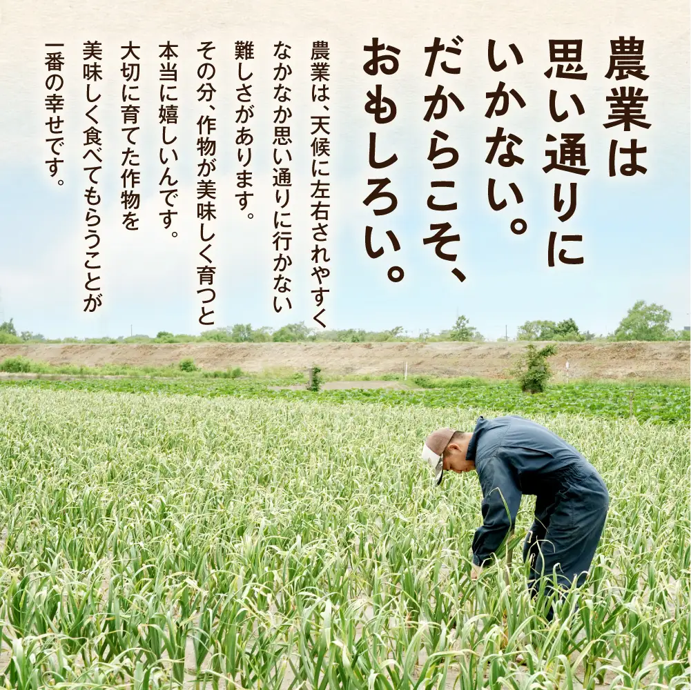 北海道産にんにく（福地ホワイト六片種）1kg にんにく