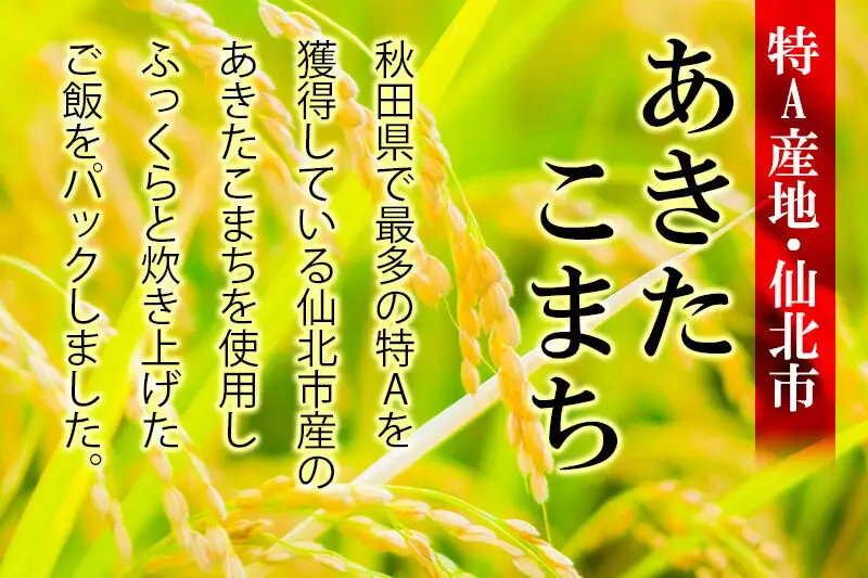 米 白米 パックご飯 200g×40個《特A産地》秋田県 仙北市産 あきたこまち パックごはん【 パックご飯 パックライス ご飯 ご飯パック ごはんパック パック レトルト 米】