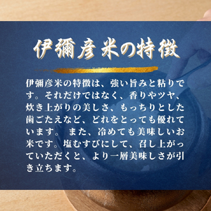 令和7年産 特別栽培米コシヒカリ 伊彌彦米 10kg | 伊彌彦米 新潟県