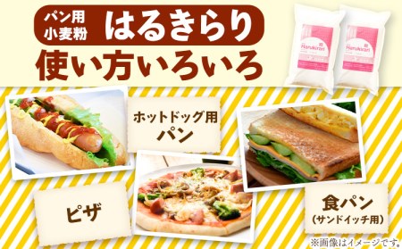 北海道十勝 前田農産パン用小麦粉「はるきらり」5㎏ 強力粉 国産 菓子パン 食パン ピザ バケット ホームベーカリー《60日以内に出荷予定(土日祝除く)》小麦粉小麦粉小麦粉小麦粉小麦粉