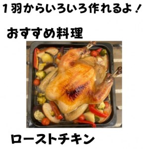 鶏肉 訳あり 地鶏丹波黒どり 丸どり 中抜き 丸1羽 約2.5kg 京都亀岡丹波山本 鶏肉 国産鶏肉 京都産鶏肉 亀岡産鶏肉 鶏肉