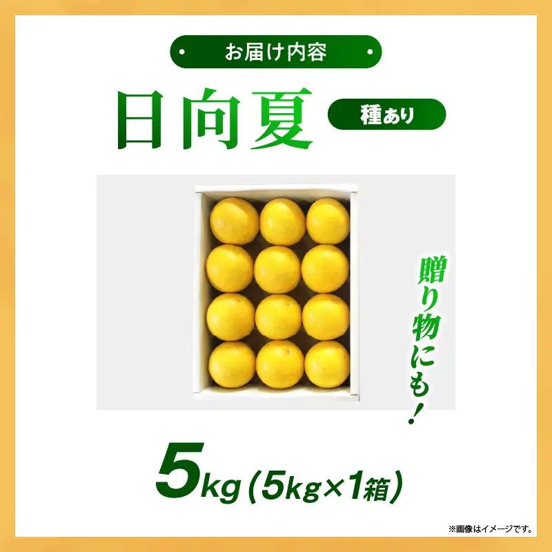 【先行受付】初春の旬「日向夏」種あり 5kg 果物 フルーツ くだもの 柑橘 フルーツサンド おやつ スイーツ デザート ジャム おすすめ ギフト 贈り物 贈答 プレゼント おすそ分け お返し 宮崎県 綾町 送料無料【JA綾町】_A0114-2481