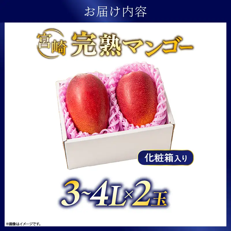 先行予約 完熟マンゴー 3～4L×2玉（化粧箱）マンゴー 宮崎 果物 フルーツ くだもの 2027年 国産 高級 マンゴージュース 南国フルーツ おすすめ デザート ギフト 贈り物 プレゼント 贈答 冷蔵 綾町 送料無料 【JA綾町】_A0114-2352