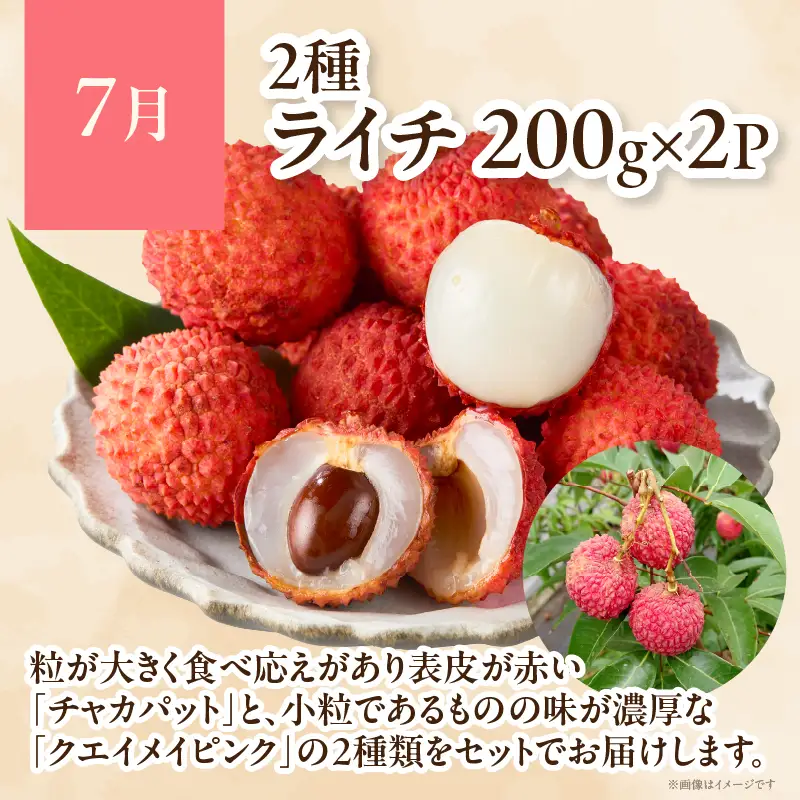 【4ヶ月定期便】 JA綾町 いつでもフルーツ定期便 《きんかん／日向夏／マンゴー／ライチ》 果物 フルーツ くだもの 柑橘 完熟きんかんたまたま 種なし 完熟マンゴー おすすめ おすそ分け おやつ スイーツ デザート 常温 産地直送 宮崎県 綾町 送料無料【JA綾町】_A0114-2621