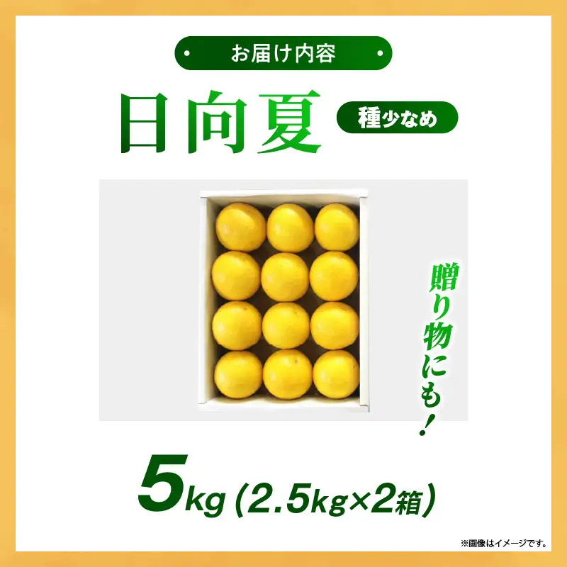 【先行受付】初春の旬「日向夏」種が少ない 5kg 果物 フルーツ くだもの 柑橘 フルーツサンド おやつ スイーツ デザート ジャム おすすめ ギフト 贈り物 贈答 プレゼント おすそ分け お返し 宮崎県 綾町 送料無料【JA綾町】_A0114-2431