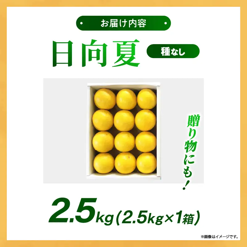 先行受付】初春の旬「日向夏」種なし 2.5kg 果物 フルーツ くだもの