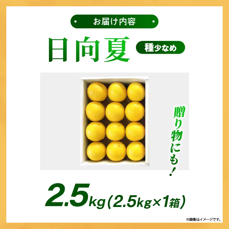 【先行受付】初春の旬「日向夏」種が少ない 2.5kg 果物 フルーツ くだもの 柑橘 フルーツサンド おやつ スイーツ デザート ジャム おすすめ ギフト 贈り物 贈答 プレゼント おすそ分け お返し 宮崎県 綾町 送料無料【JA綾町】_A0114-2421