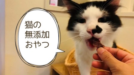 FB093_猫の無添加おやつ☆天然いのししジャーキー4個