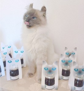 【猫パッケージ入り】はちみつ入りフルーツジャム2種＆栃木県産はちみつ1種の3点セット｜ハチミツ 蜂蜜 瓶 苺 ブルーベリー ギフト◇