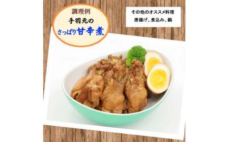 産地直送！恵那どり手羽元 5本×8パック 冷凍 F4N-2396