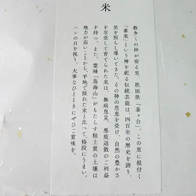 あきたこまち ひの米 玄米 秋田県産 あきたこまち【6kg(2kg×3袋)】【定期便 6ヶ月連続】