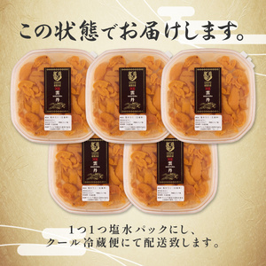 【ふるなび限定】無添加 極上 エゾバフンウニ 塩水パック 500g 配送期間A：6月上旬～8月中旬 FN-Limited-PR