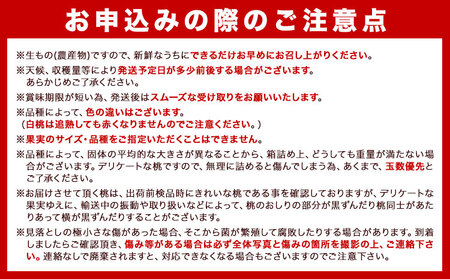 【2027年先行予約】秀品 和歌山の桃 約4kg
