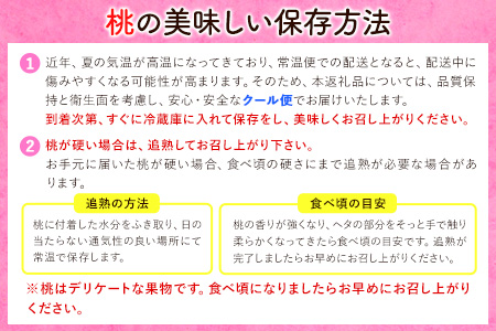 あら川の桃 秀品 約2kg(5玉～8玉)