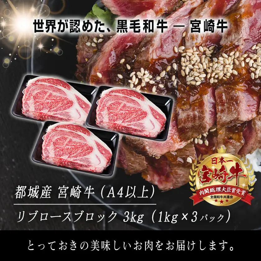 宮崎牛リブロースブロック3kg〔DI-2501〕_(都城市) 都城産宮崎牛 リブロースブロック ３kg 霜降り肉 ローストビーフ ステーキ ビーフカレー キャンプで豪快に 鉄板焼き 国産 ブランド牛 牛肉 ギフト 贈答用