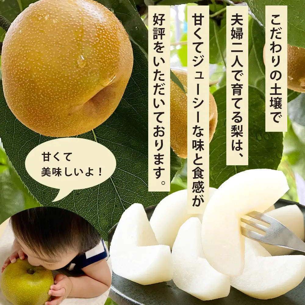 【2026年8月中旬～発送】豊永の 梨 約3kg 熊本県 070-0593