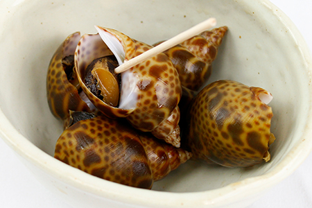 活黒バイ貝３kg（冷蔵便） 富津産