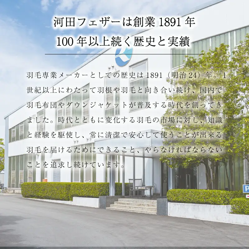【河田フェザー使用】 ソフトでまぁ～るい 羽根クッション（JWC-36）低反発 高反発 座布団 クッション 羽根 日本製 おしゃれ kawada 河田フェザー 正規品 癒し やすらぎ 高級 カラー おまかせ サークル 円 丸 まる