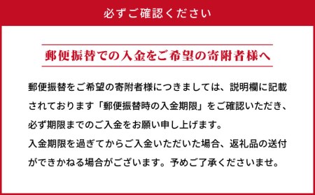 宮崎牛 サーロイン ステーキ カットステーキ セット 計750g 平家の郷 詰め合わせセットA