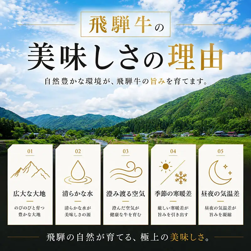飛騨牛 牛肉 すき焼き しゃぶしゃぶ ロース スライス 500g×2 計1kg A5 和牛 すきやき すき焼き肉 すき焼き用肉 シャブシャブ お肉 霜降り ブランド和牛 