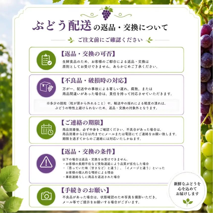【先行予約】【数量限定】宮内果樹観光園のシャインマスカット 約1kg 2房前後 | フルーツ 果物 くだもの ぶどう ブドウ 葡萄 シャインマスカット マスカット 産地直送 国産 大分県 中津市