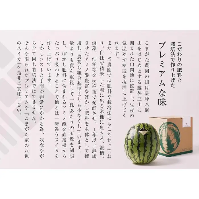 【2026年7月下旬〜8月上旬順次発送予定】高級南魚沼八色産スイカ「こまがた家の八色のスイカ」プレミアム大玉 1玉【西瓜 スイカ すいか 大玉 季節限定 果物 フルーツ ギフト 名産地 産地直送 シャキシャキ 厳選 デザート 新潟県】