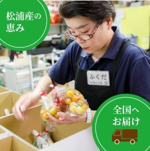 旬のお野菜と産みたて卵6個の大満足セット【A8-039】