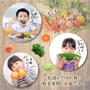 道の駅松浦海のふるさと館『旬のお野菜＋お米5kg』の大満足セット！【B7-040】
