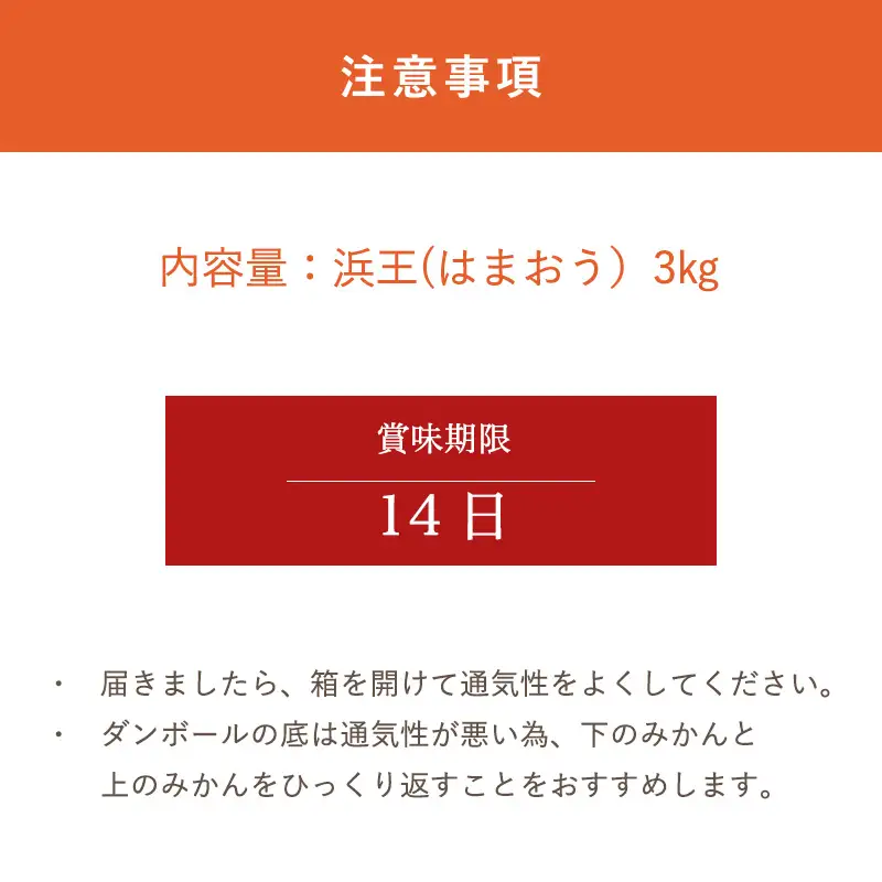 『先行予約』【令和9年1月下旬発送】浜王(はまおう) ハウス栽培 唐津産 3kg 口之津(くちのつ) 39号みかん