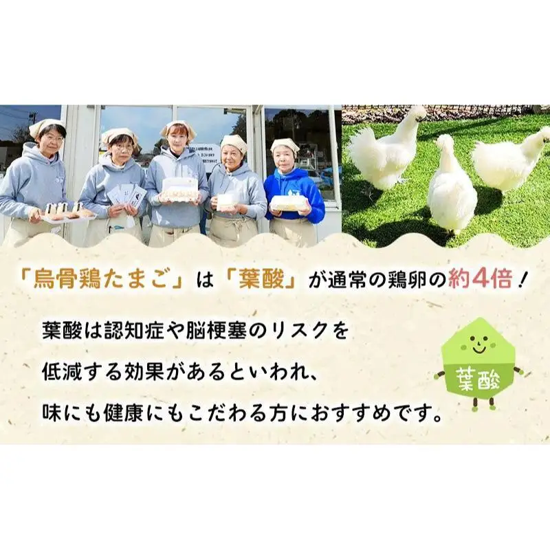 卵 烏骨鶏 20個 遠州森町 生で食べて 鶏卵 卵