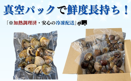 はまぐり 2kg (500g×4袋) 小分け 中サイズ 岬だより 【蛤 はまぐり】