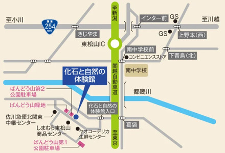 優待券 東松山市化石と自然の体験館 手ぶらで発掘セット 1名分 | 優待券 化石