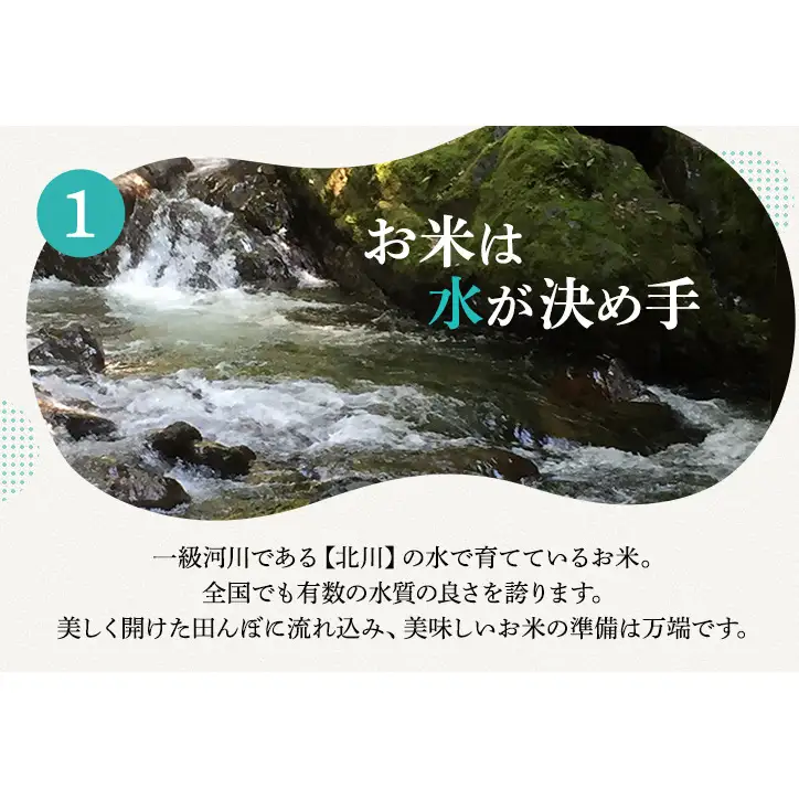 コシヒカリ 新米 10kg 定期便 コシヒカリ