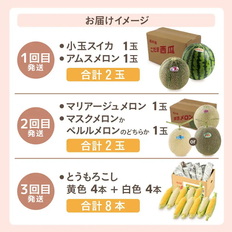 【先行予約】≪定期便/全3回≫フルーツ王国あわらのこだわり5品 農家直送 厳選品／ 期間限定 果物 フルーツ 青肉メロン 赤肉メロン 西瓜 とうもろこし 産地直送 ※2027年6月中旬より順次発送 [aw039-c002]