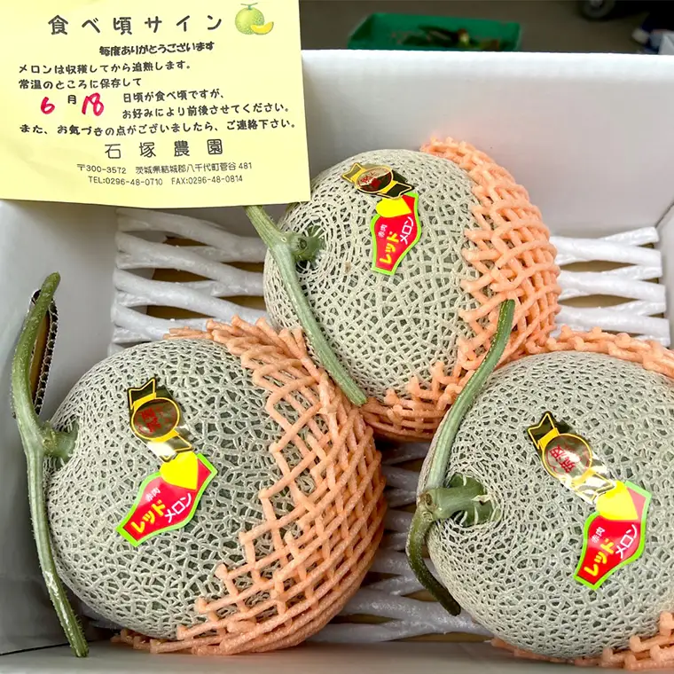 メロン 筑波レッドメロン 1箱 3玉~4玉  約5~6kg 八千代町産 先行予約