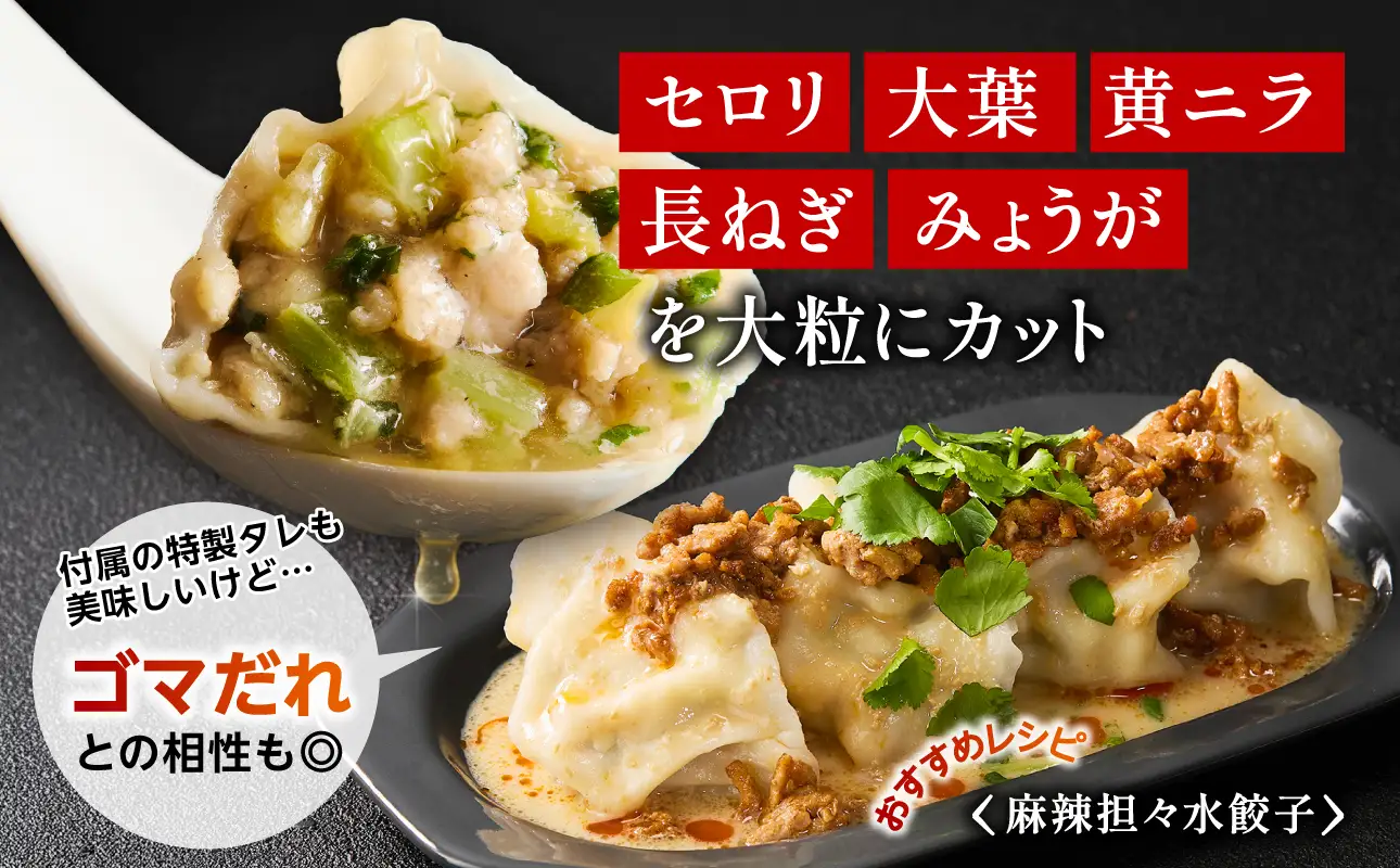 餃子 水餃子 定期便 5回発送（うち香味2回）（5回発送B）