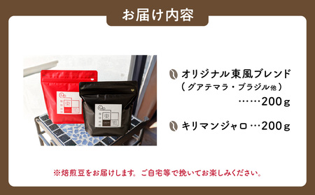 自家焙煎　東風（こち）コーヒー豆2点セットB