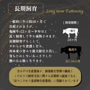 亀岡牛特選サーロインステーキ1kg ステーキ