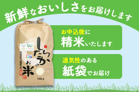 《定期便5ヶ月》【白米】つや姫 10kg×5回（特別栽培米）令和5年産 山形県産 しらたかのお米