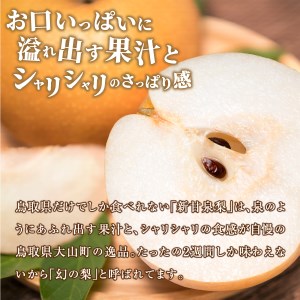 DS-15　新甘泉梨 3kg