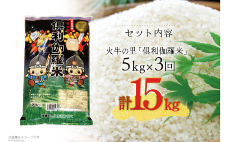 米 3回 定期便 火牛の里 倶利伽羅米 (特別栽培米) 5kg×3回 総計15kg