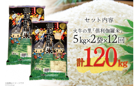 米 12回 定期便 火牛の里 倶利伽羅米 (特別栽培米) 10kg (5kg×2袋)×12回 総計120kg