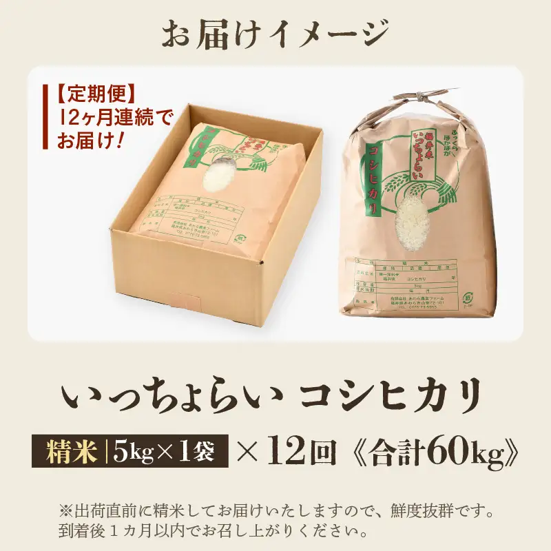 【先行予約】【令和8年産・新米】【一等米】《定期便12回》いっちょらい 精米 5kg × 12回（計60kg）／ 福井県産 ブランド米 コシヒカリ ご飯 白米 新鮮 大賞 受賞 新米 福井県あわら産 ※2026年10月上旬以降順次発送予定 [aw012-j005]