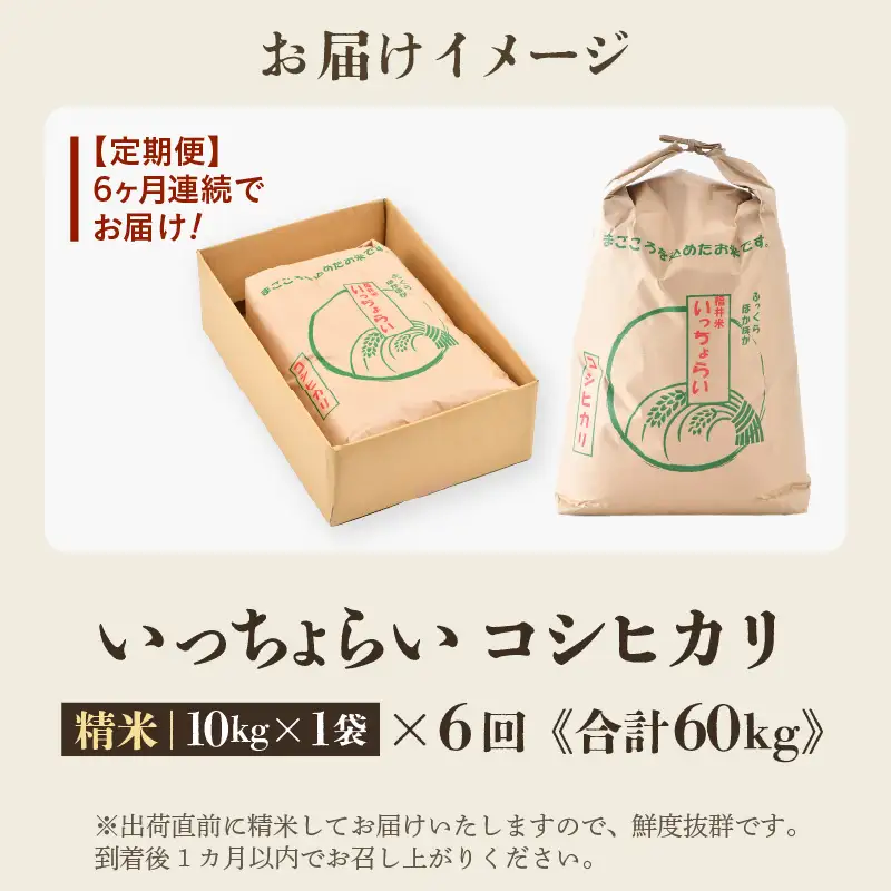 【先行予約】【令和8年産・新米】【一等米】《定期便6回》いっちょらい 精米 10kg × 6回（計60kg） ／ 福井県産 ブランド米 コシヒカリ ご飯 白米 新鮮 大賞 受賞 新米 福井県あわら産 ※2026年10月上旬以降順次発送予定 [aw012-j006]
