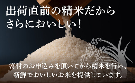＜無洗米コシヒカリ 洗わんでいっちゃが 10kg＞ K23_0001_1