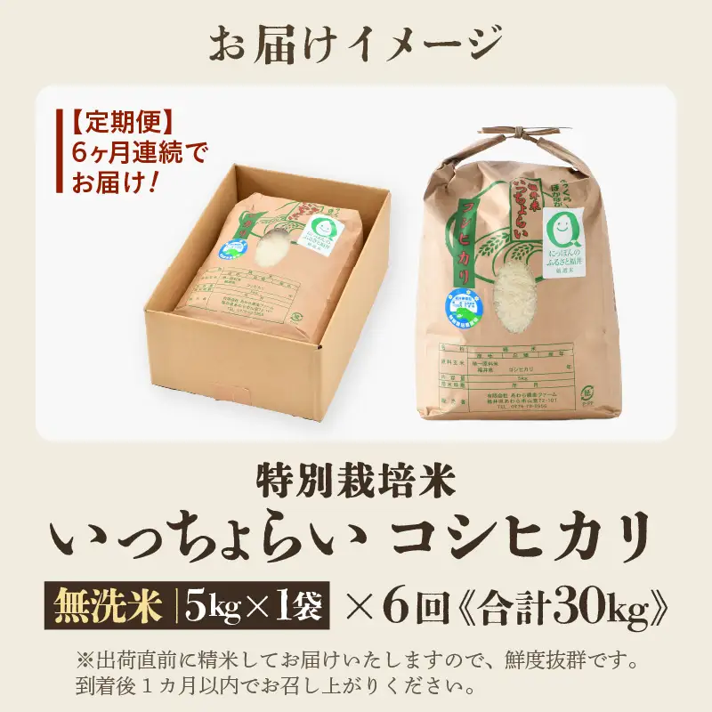 【先行予約】【令和8年産・新米】【一等米】《定期便6回》特別栽培米 いっちょらい 無洗米 5kg × 6回（計30kg） ／ 福井県産 ブランド米 コシヒカリ ご飯 白米 新鮮 大賞 受賞 ※2026年10月上旬以降順次発送予定 [aw012-f014]