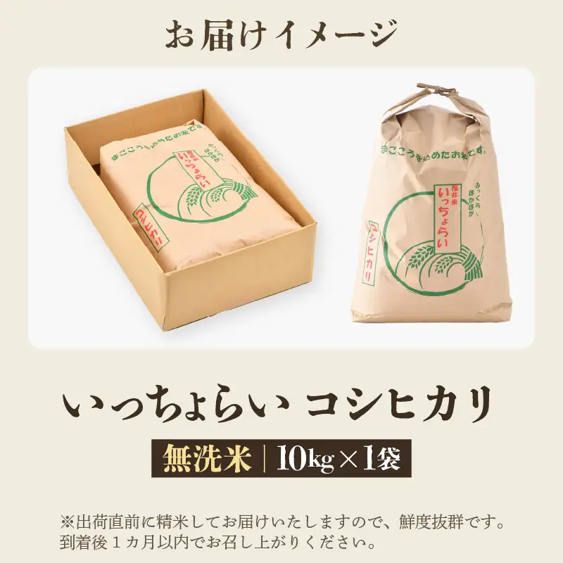 【先行予約】【令和8年産・新米】【一等米】いっちょらい 無洗米 10kg×1袋 ／ 福井県産 ブランド米 コシヒカリ ご飯 白米 新鮮 大賞 受賞 ※2026年9月下旬以降順次発送予定 [aw012-a038]