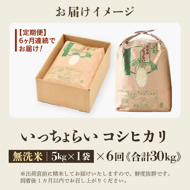 【先行予約】【令和8年産・新米】【一等米】《定期便6回》いっちょらい 無洗米 5kg × 6回（計30kg） ／ 福井県産 ブランド米 コシヒカリ ご飯 白米 新鮮 大賞 受賞 ※2026年9月下旬以降順次発送予定 [aw012-e007]