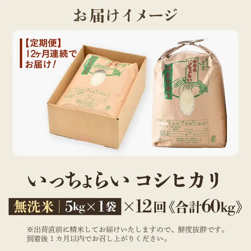 【先行予約】【令和8年産・新米】【一等米】《定期便12回》いっちょらい 無洗米 5kg × 12回（計60kg） ／ 福井県産 ブランド米 コシヒカリ ご飯 白米 新鮮 大賞 受賞 ※2026年9月下旬以降順次発送予定 [aw012-j007]