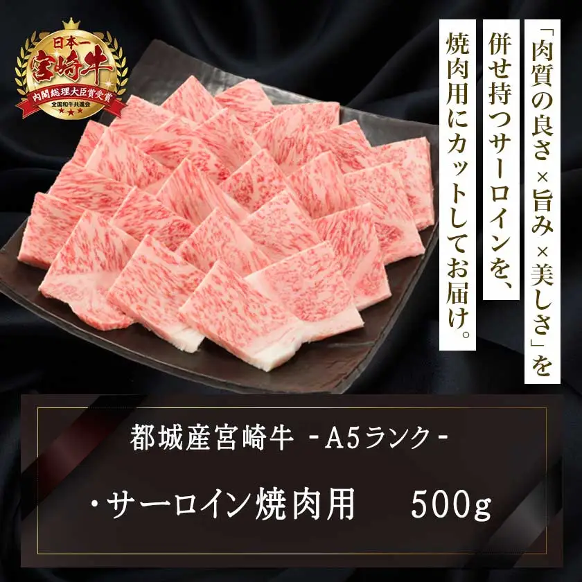 【A5】宮崎牛サーロイン焼肉用500g〔AE-0106〕_(都城市) 最高級A5ランク 宮崎牛サーロイン焼肉用 500g 最高等級5等級 ブランド牛 国産牛肉 国産黒毛和牛 バーベキュー 焼き肉 ガッツリ 夏のイベント